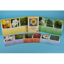 HERBAL RECOGNITION CARDS
